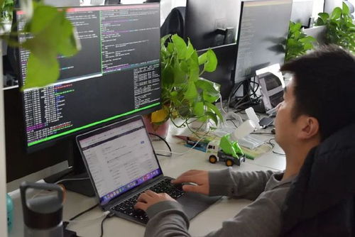 非中心化點對點網絡 Near公鏈作品獲獎背后的技術革新與研發啟示